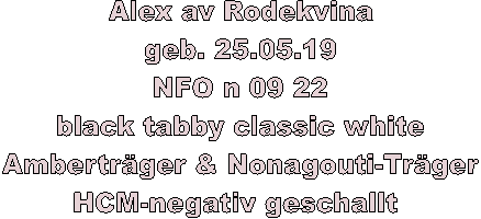 Alex av Rodekvina
geb. 25.05.19
NFO n 09 22
black tabby classic white
Amberträger & Nonagouti-Träger
HCM-negativ geschallt 