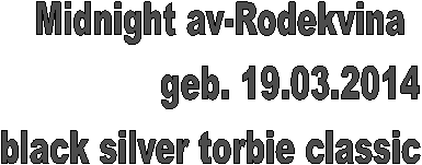                  Midnight av-Rodekvina  
                             geb. 19.03.2014
             black silver torbie classic
